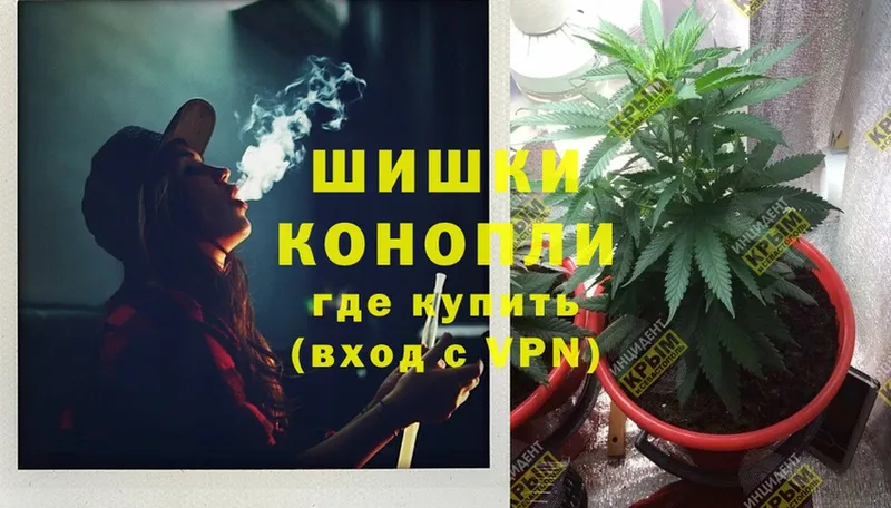 Канабис SATIVA & INDICA  Коломна 